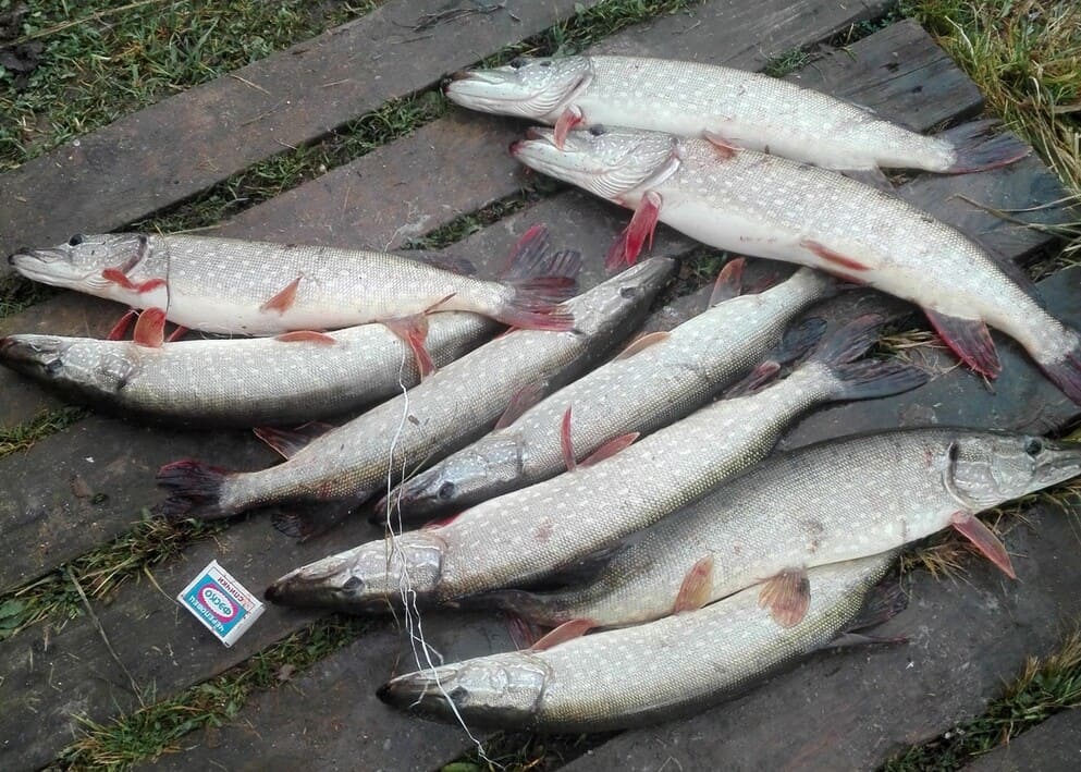 Аренда офиса  